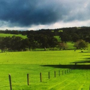 Meet your Posher, Jarrett